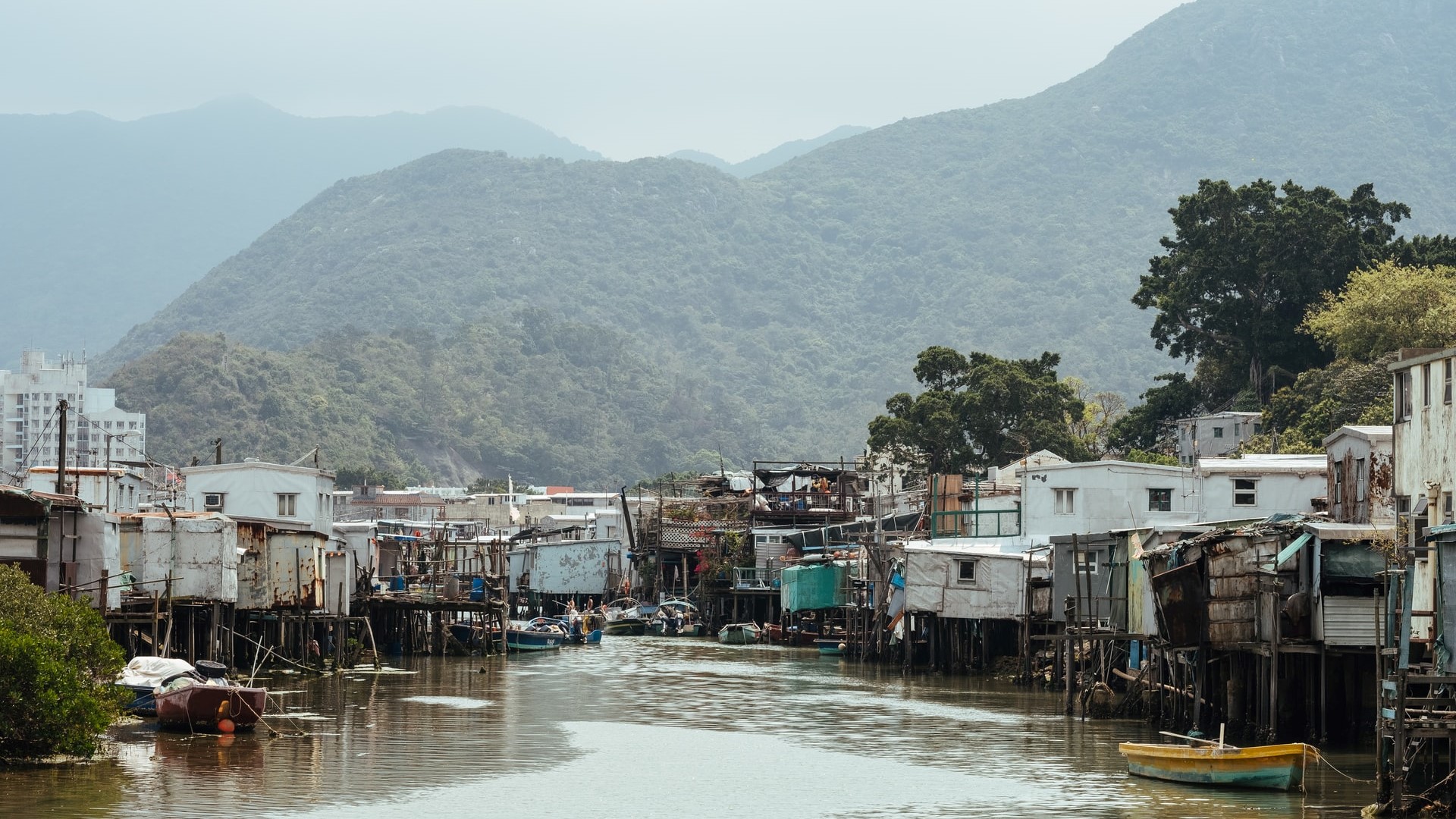 Poverty Alleviation Progress in China