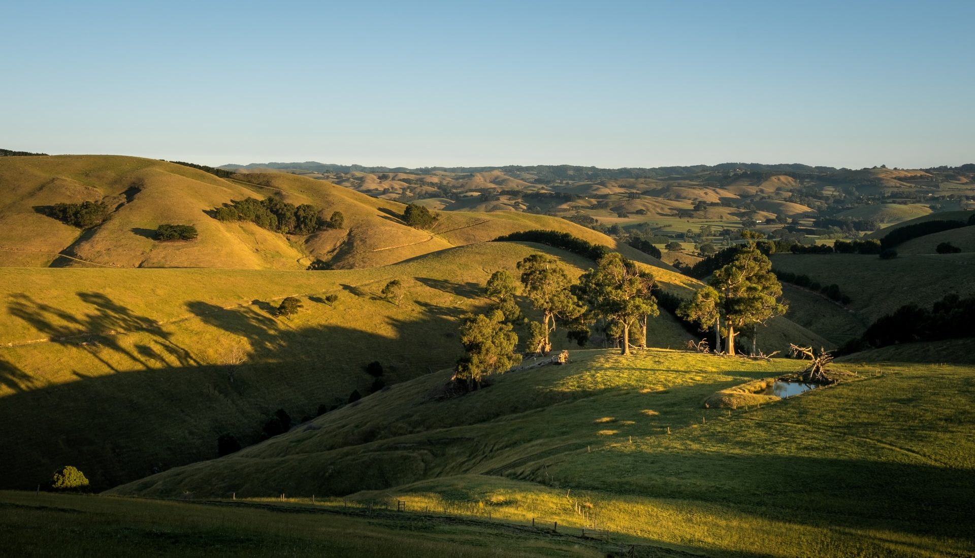 Responsible Investment: How Real Estate Investors Manage ESG Issues