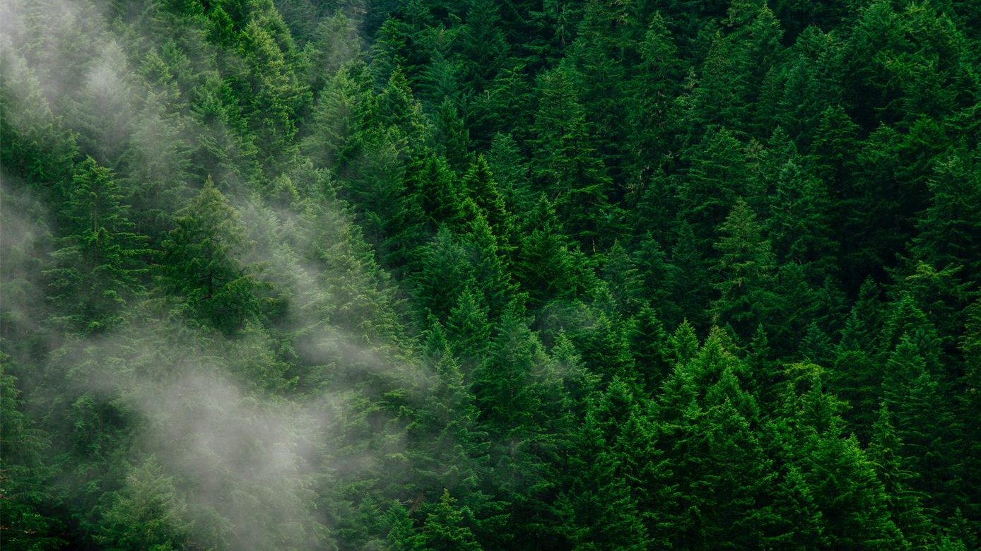 KEPCO to Develop Subsea Transmission System for Abu Dhabi