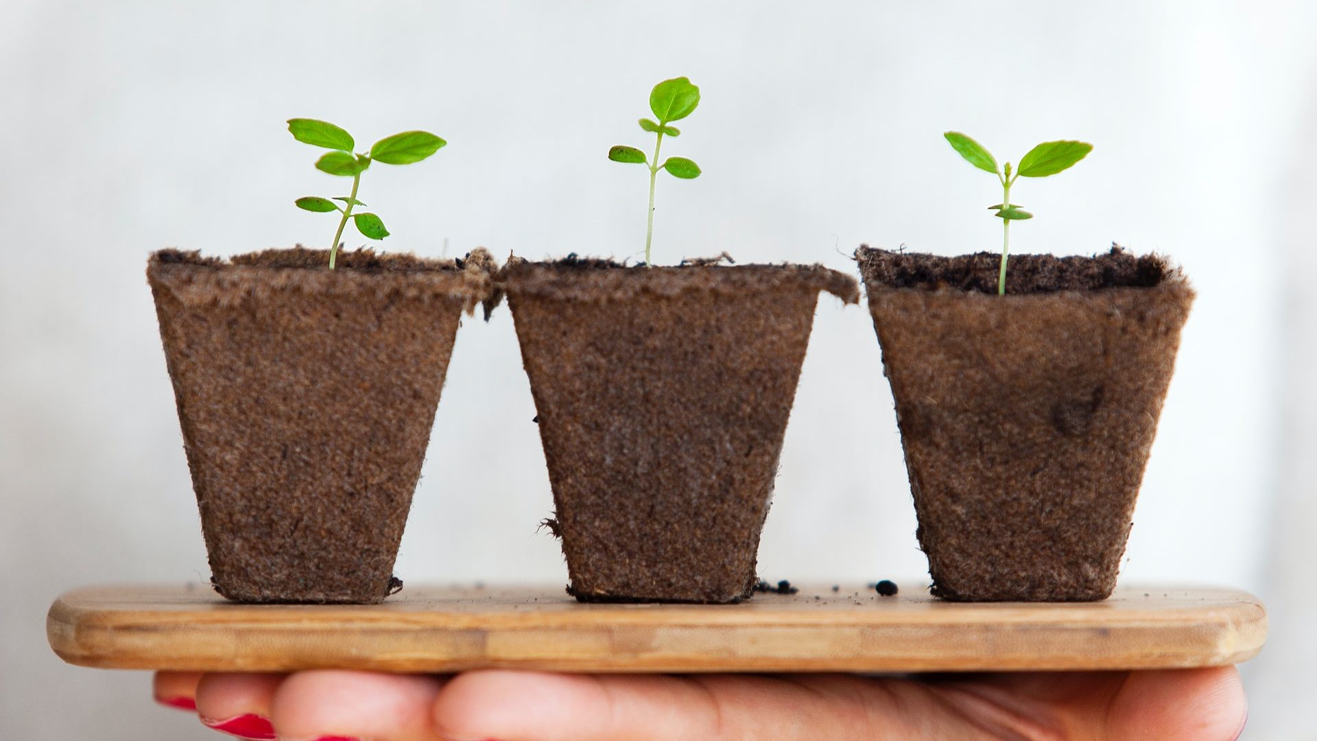 Net-Zero for Chinese Tech: A Quick Look at Alibaba’s Carbon Neutrality Plan