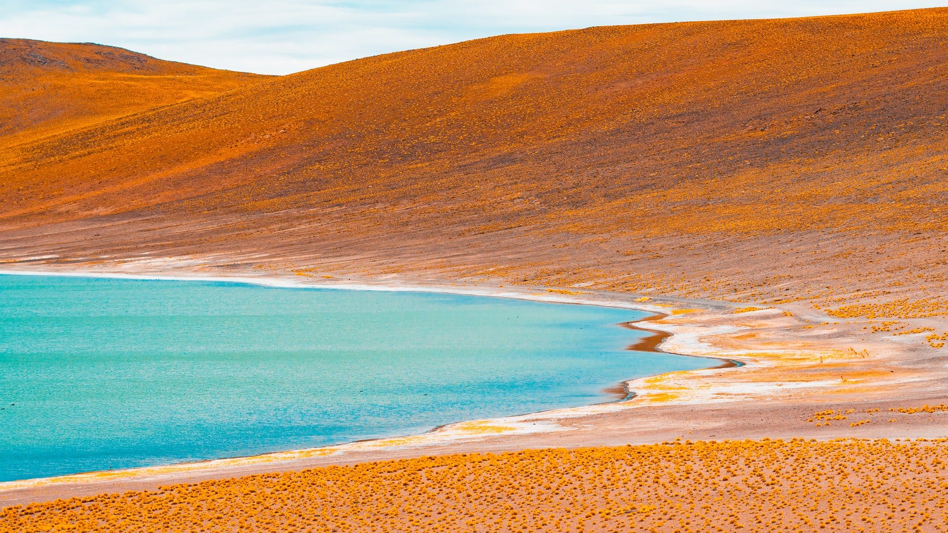 Chilean Court Freezes BYD's Lithium Mining Bid Over Environmental Concerns