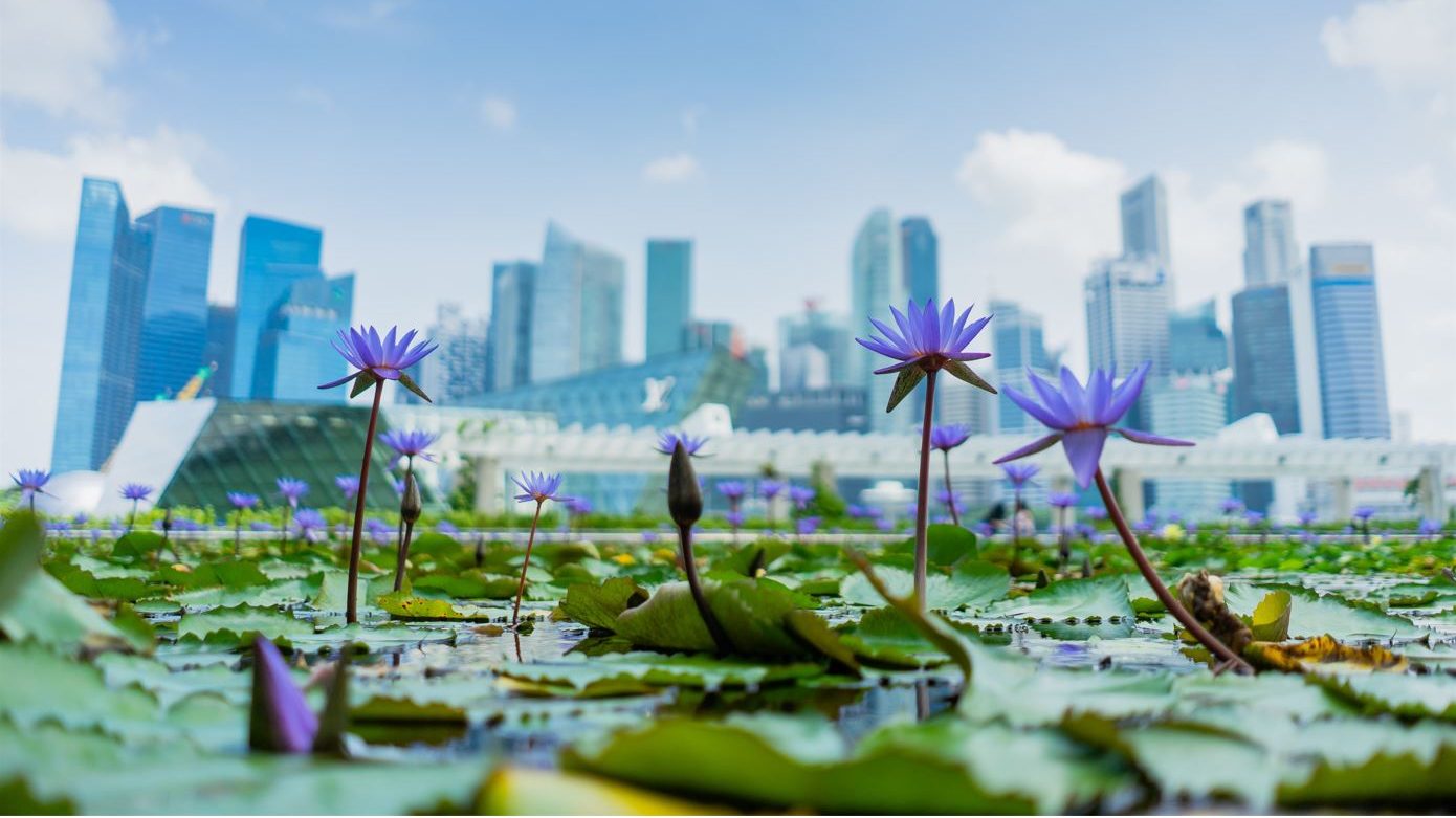 Singapore to Raise Carbon Tax Rate In 2024