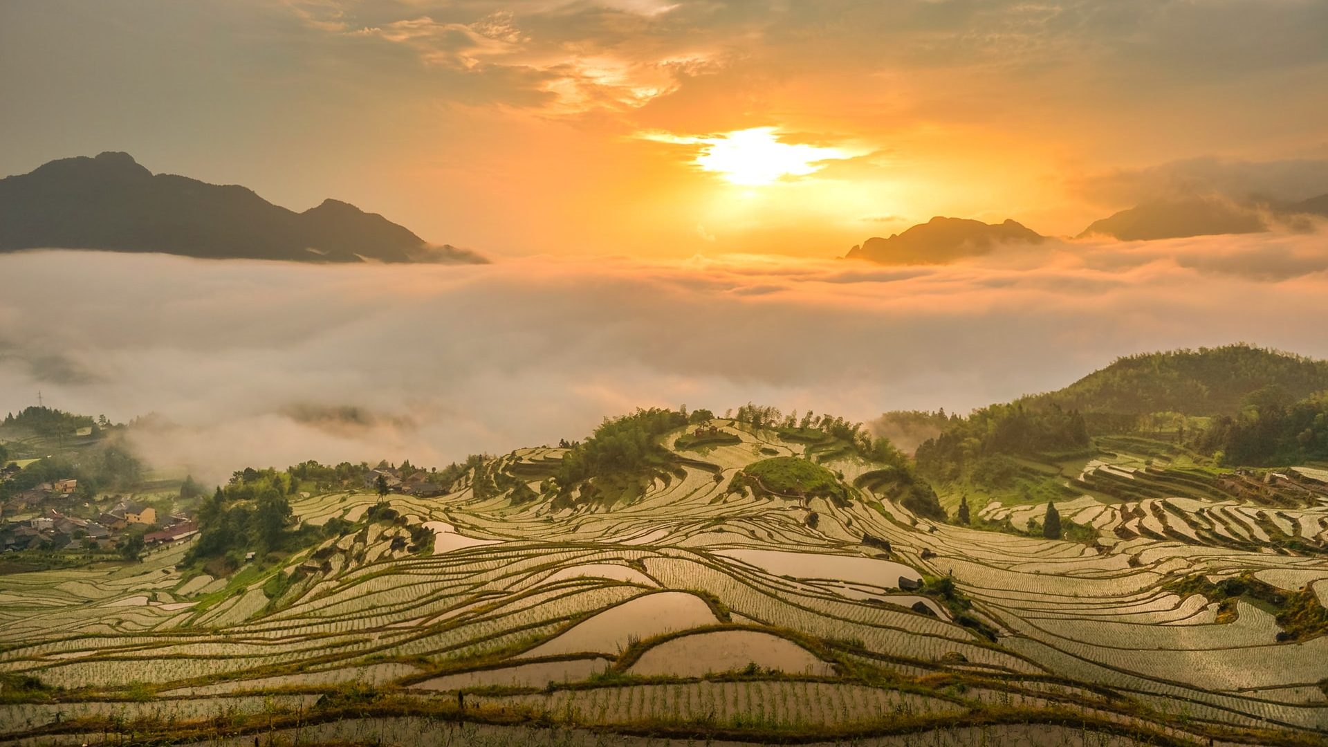 China Demands SOEs to Cut Energy Consumption and Carbon Emissions