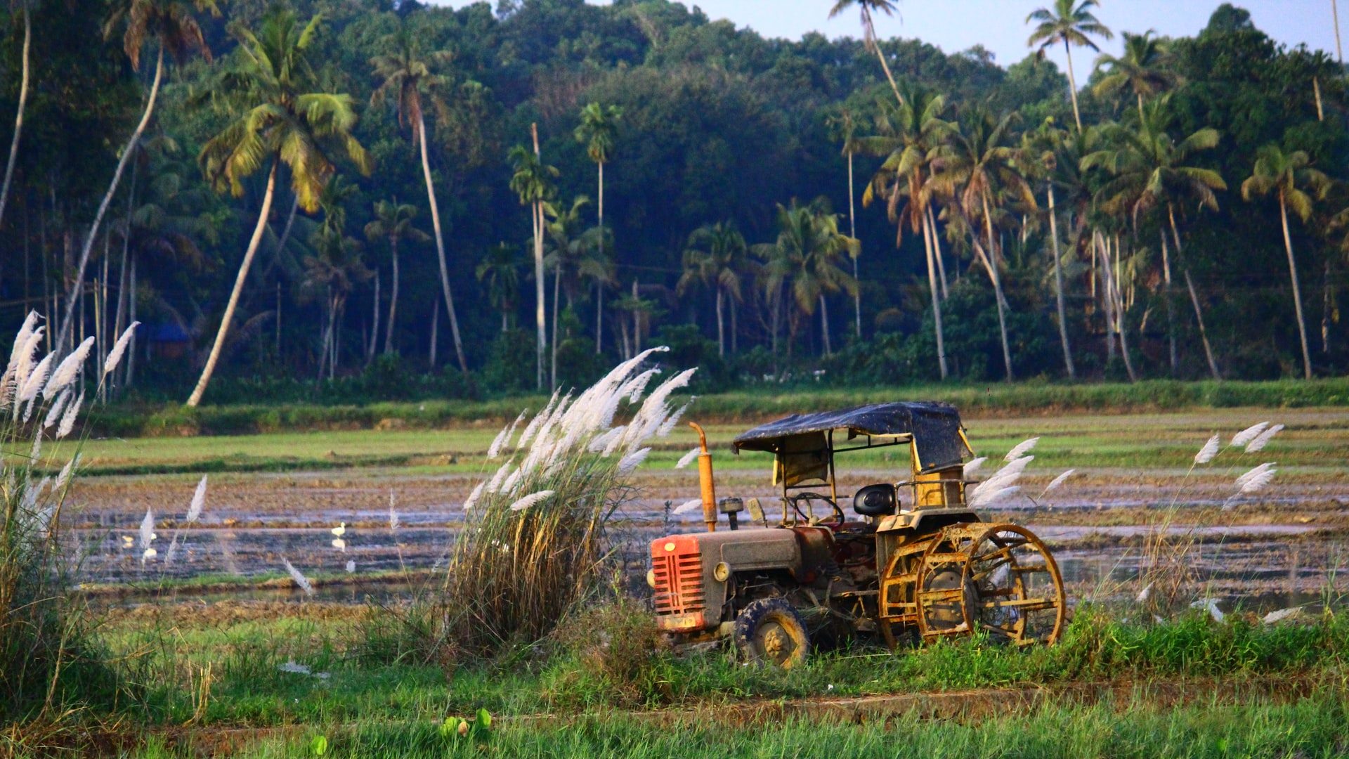 India Seeks to Replace Diesel in Agriculture with Renewable Energy