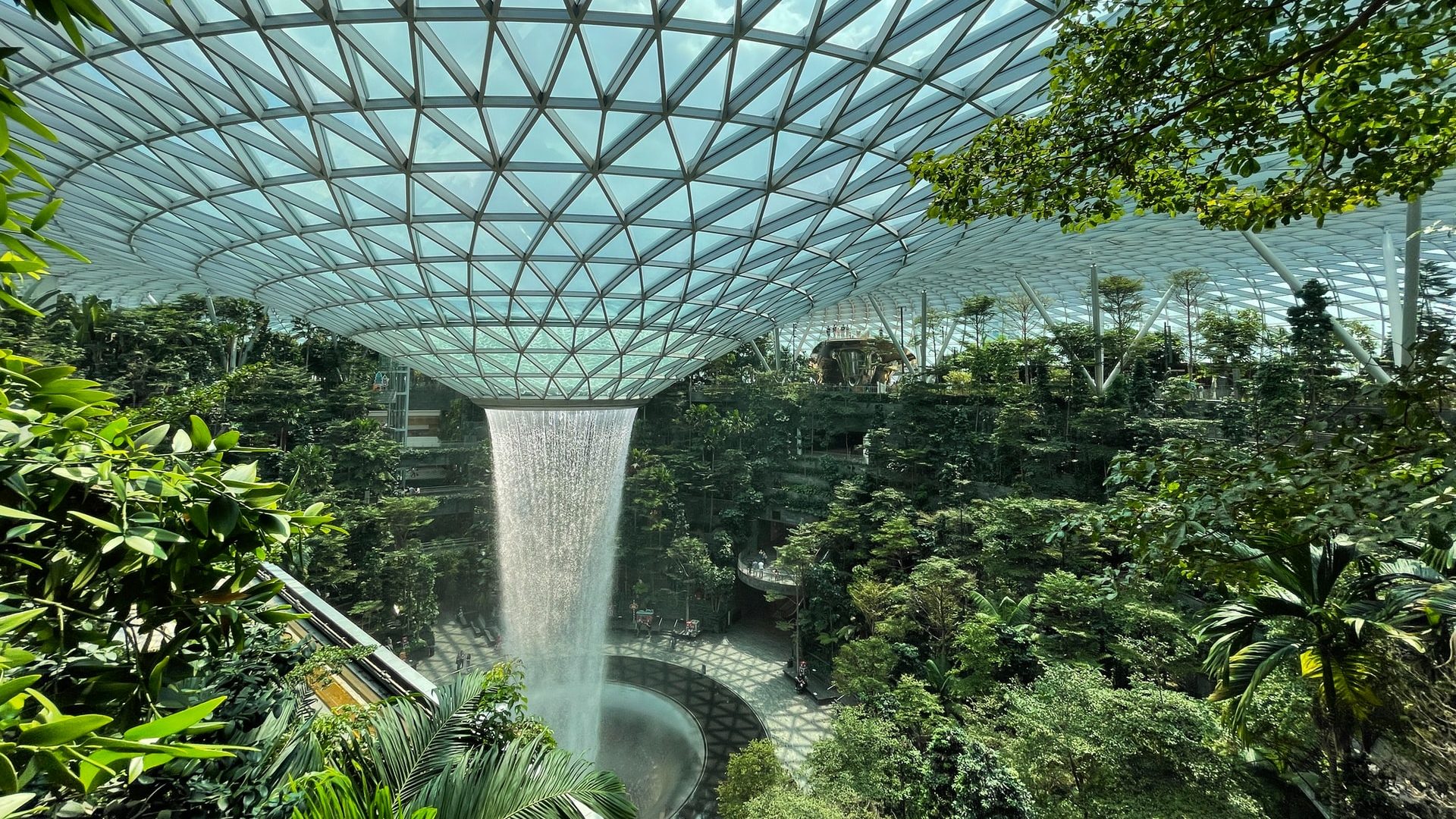 Singapore Airlines to Trial Sustainable Fuels from ExxonMobil