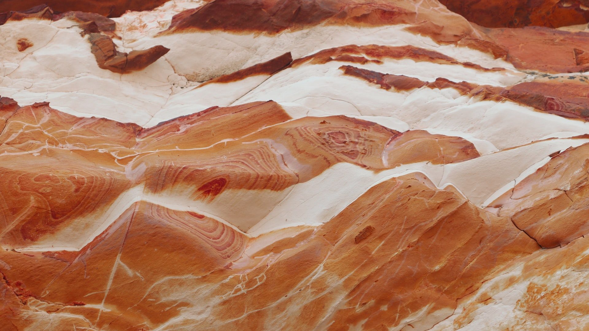 Japan’s Inpex to Invest USD868m for Carbon Capture in Australia