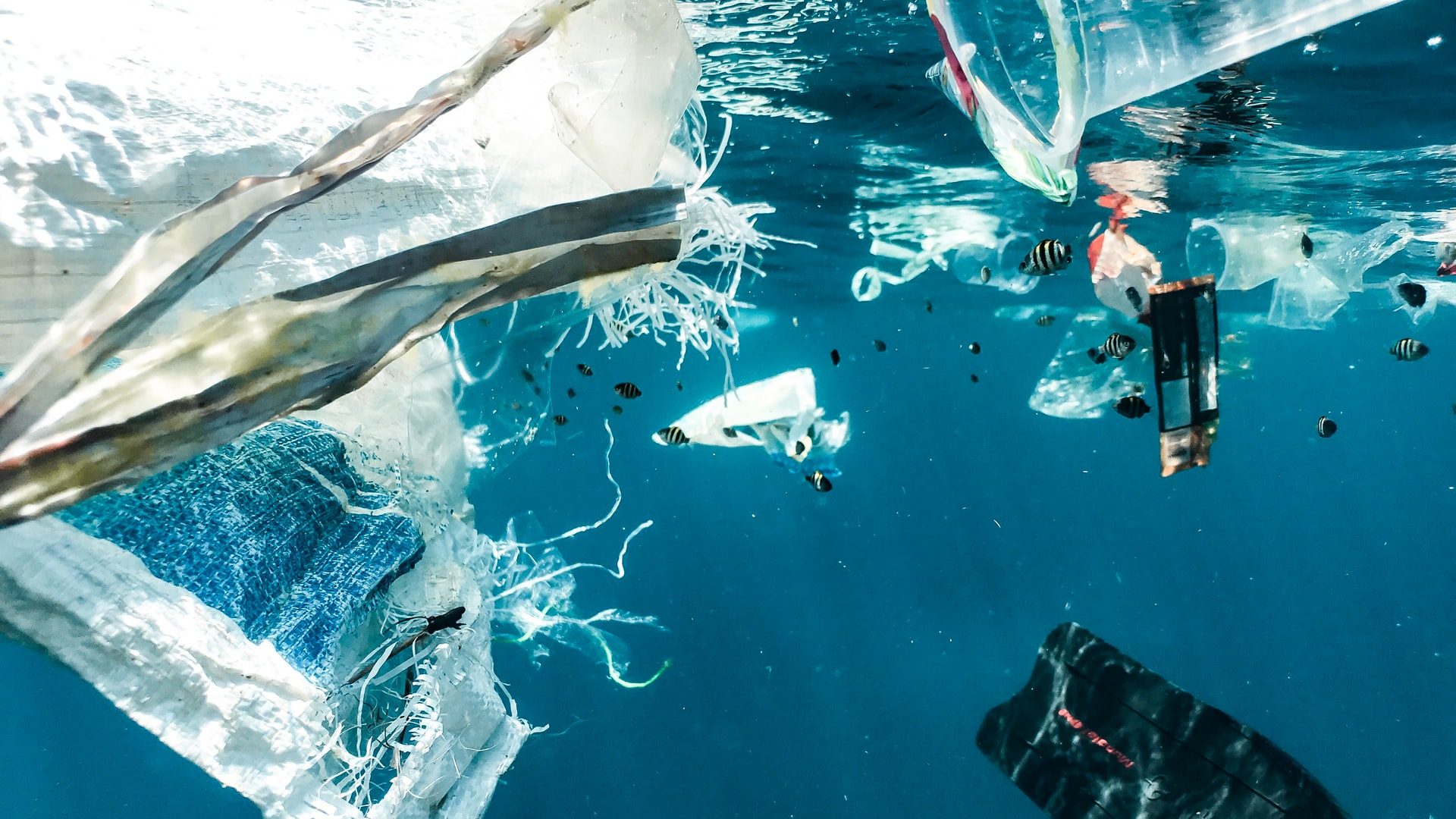 Japan’s Kaneka to Ramp up Capacity for Biodegradable Plastic