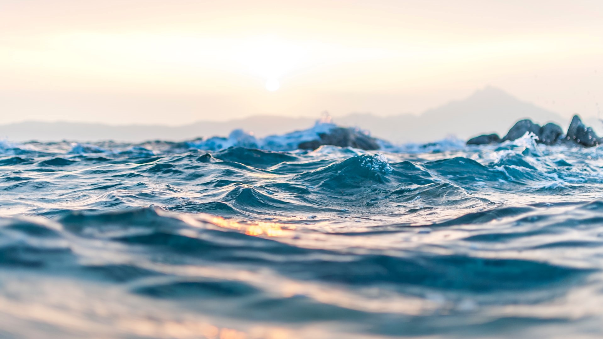 INSIGHTS | How China is Leveraging Blue Carbon for a Net-Zero Future [Part.1]