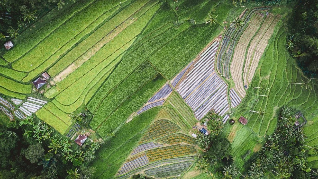 BIS Launches Green Fund to Support Eco-Friendly Projects in Asia