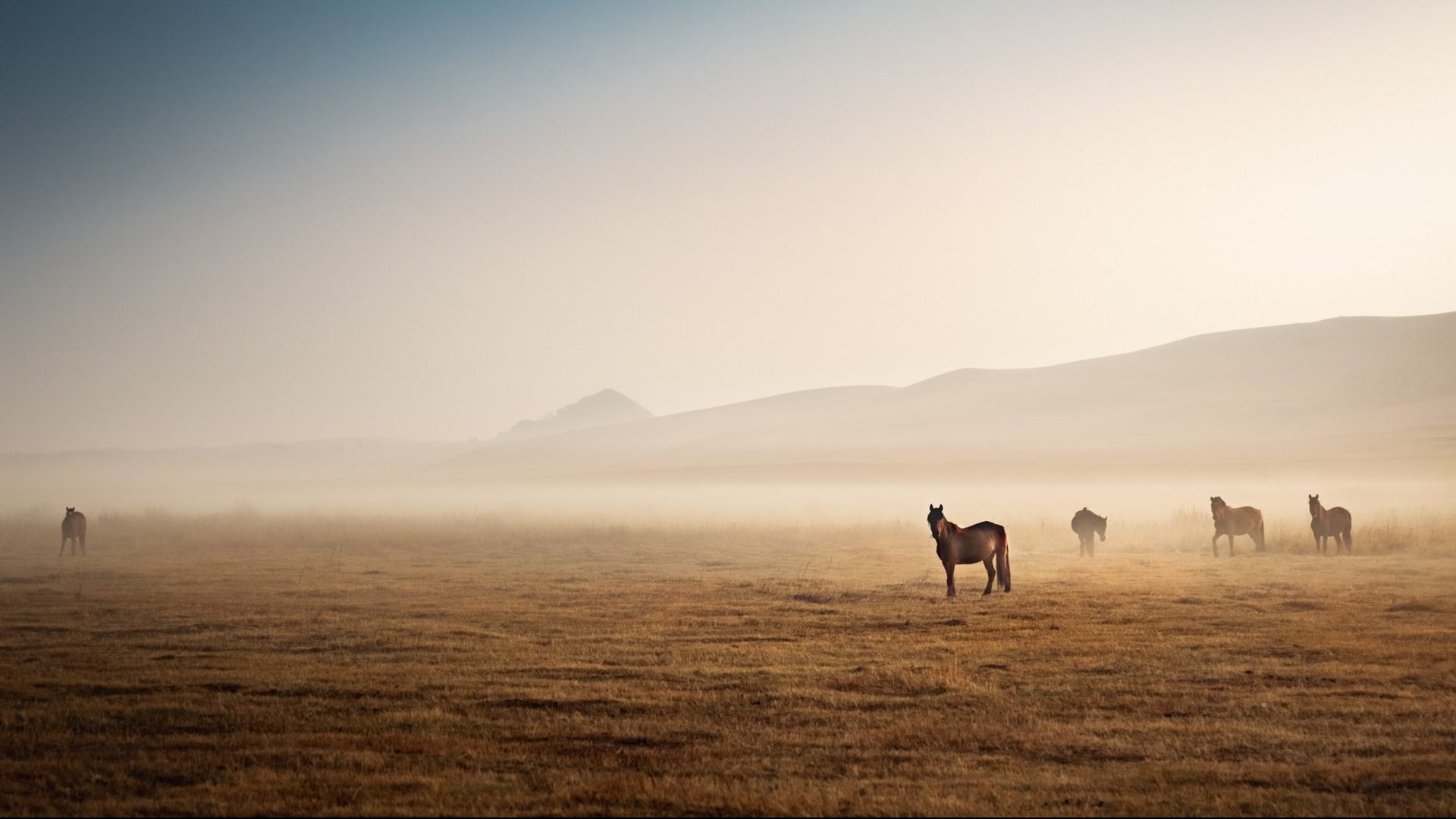 China’s Inner Mongolia Draws up Five-Year Hydrogen Development Plan