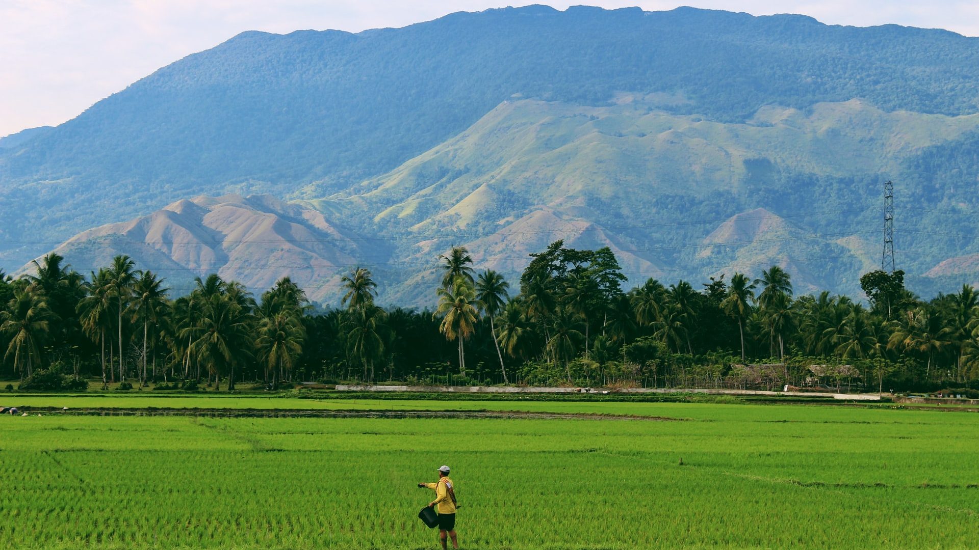 Singapore, Indonesia Team up on Climate Change and Green Finance