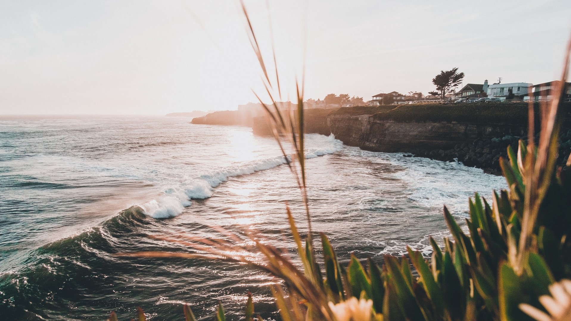 INSIGHTS | How China is Leveraging Blue Carbon for a Net-Zero Future [Part.2]