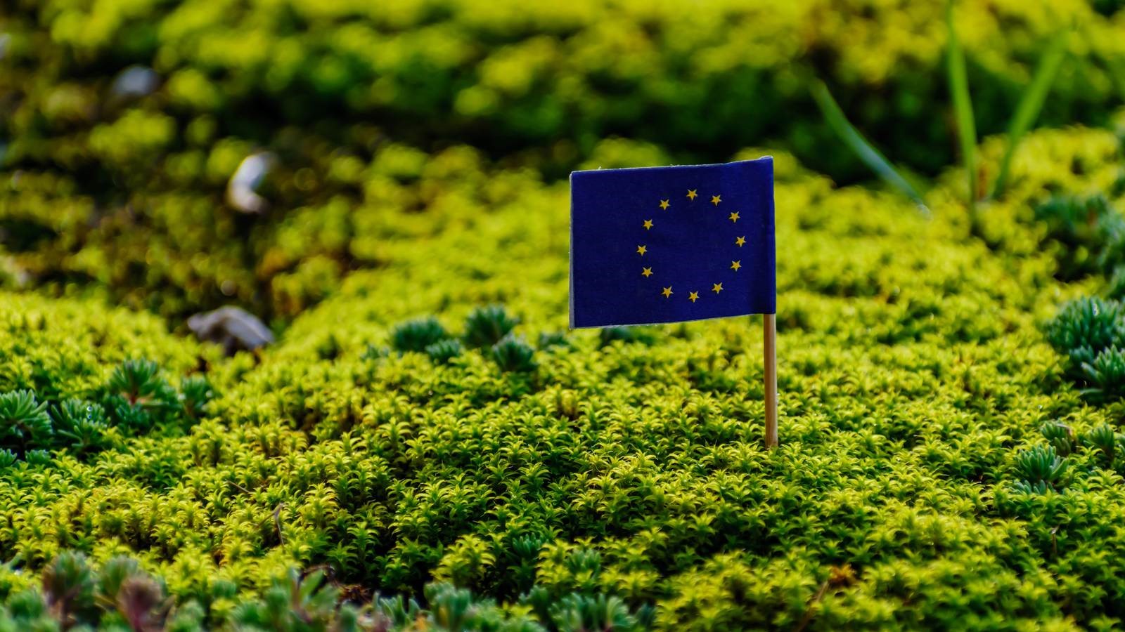 INSIGHTS | EU's Two Big Moves to Improve SFDR Standards