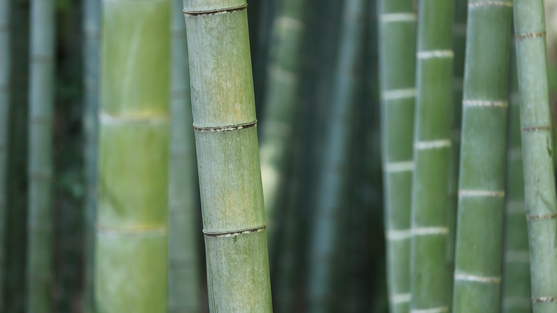 INSIGHTS | China’s First ESG Disclosure Guidance