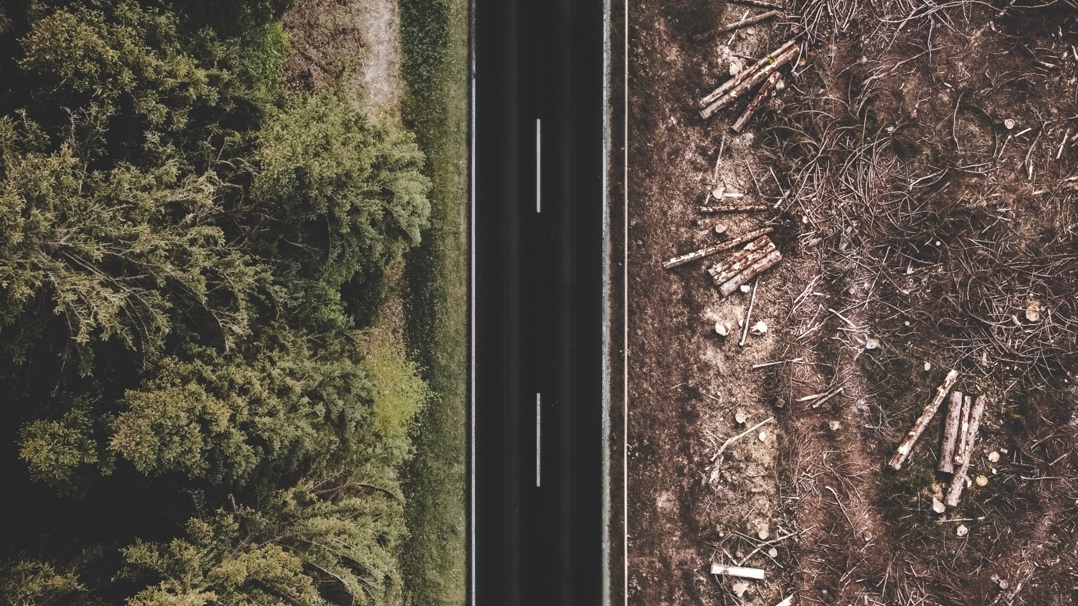 COFCO International Abstains from Deforestation in Soy Supply Chain