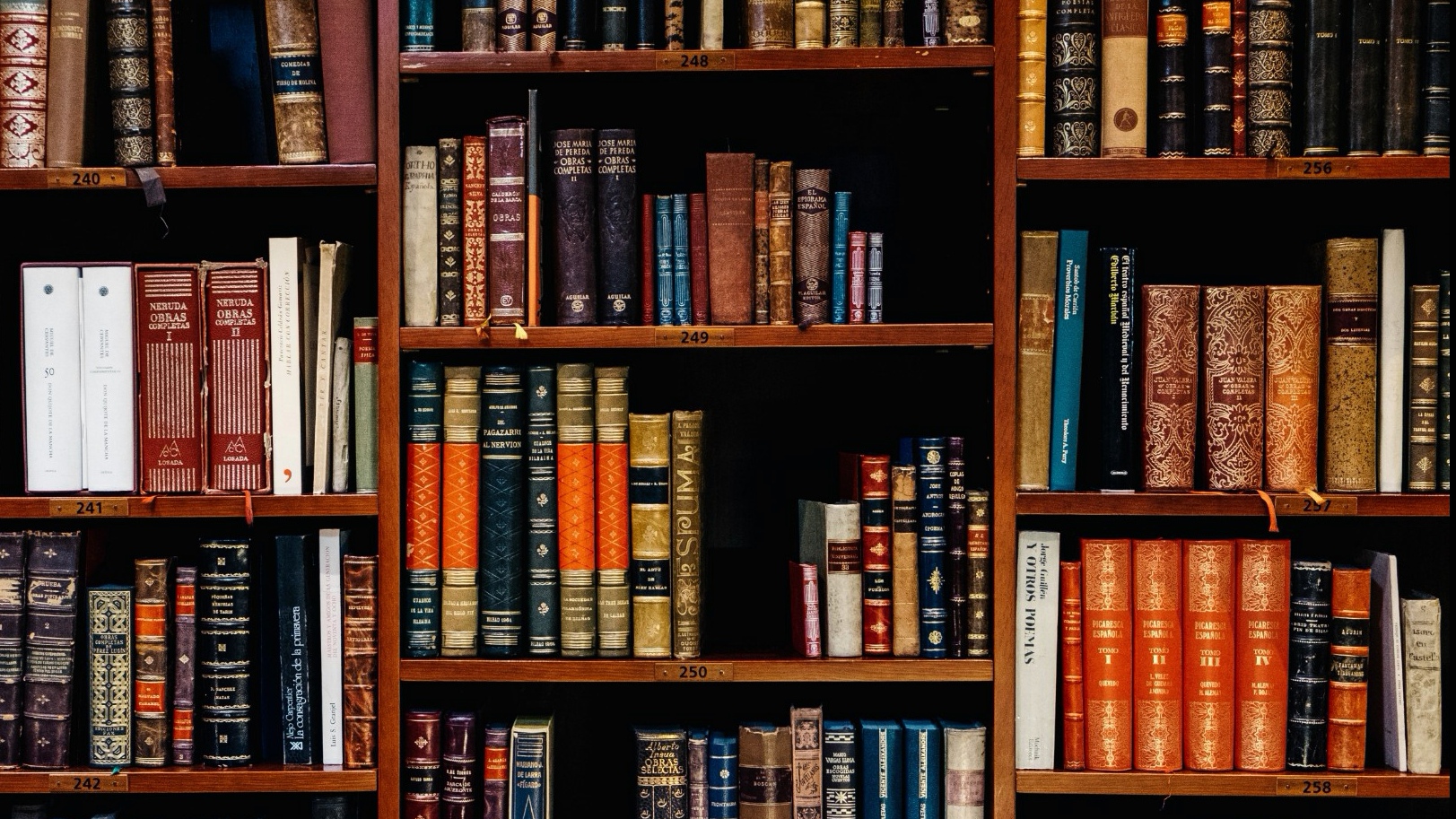 CNKI Opens Plagiarism-Checking Service to Individuals after Antitrust Probe