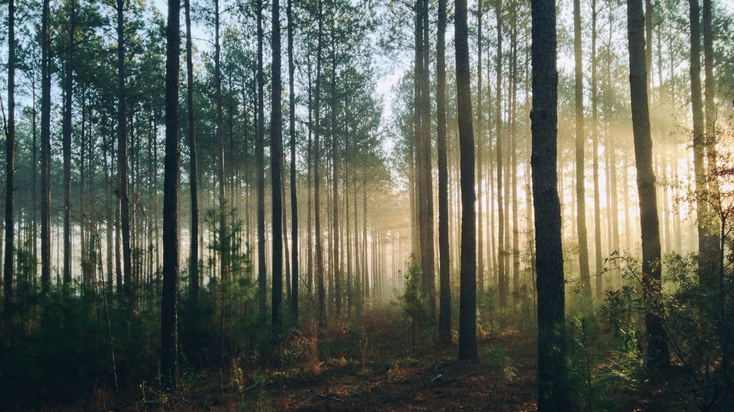 JERA, Tokyo Gas, INPEX to Participate in Carbon Capture Project in Australia