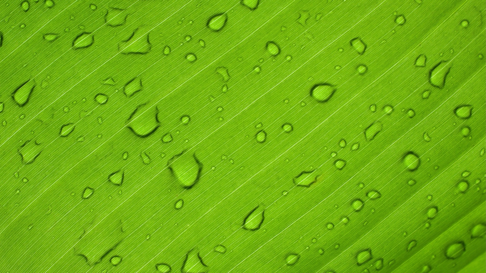 BP Takes Over Giant Green Hydrogen Project in Western Australia