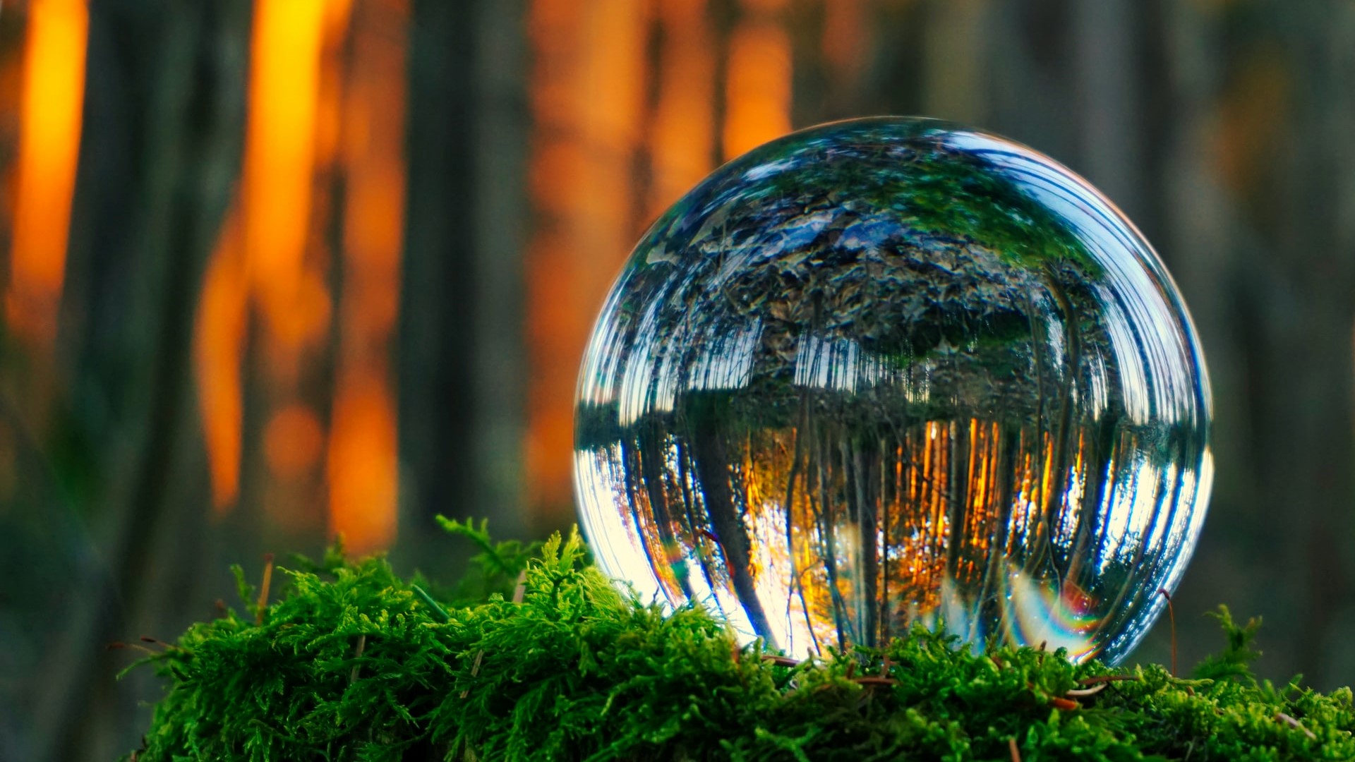 INSIGHTS | How insurance can contribute to a sustainable economy: the case of China [Part 2]