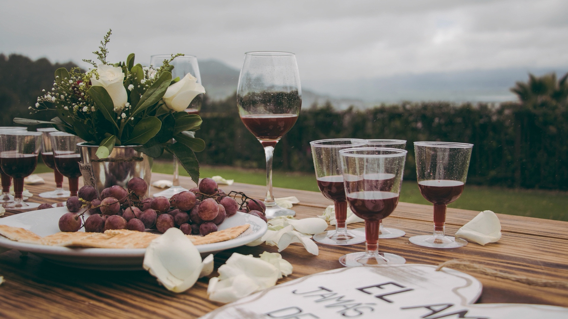 Wine Australia Releases Sustainability and ESG Program