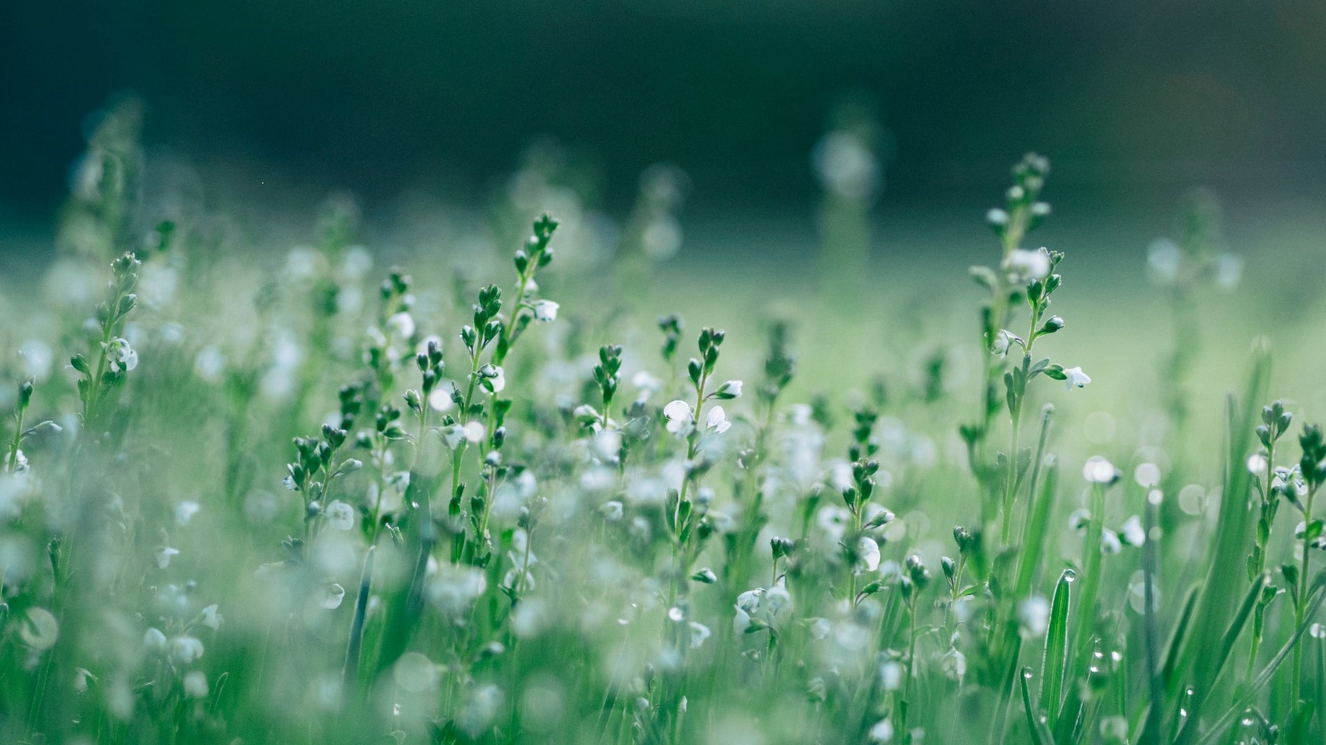 Liaoning Fangda Seeks RMB20bn Loan to Assist HNA Airline Operations