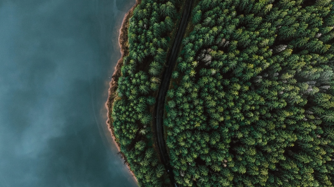 India Bans Single-Use Plastic Products Nationwide