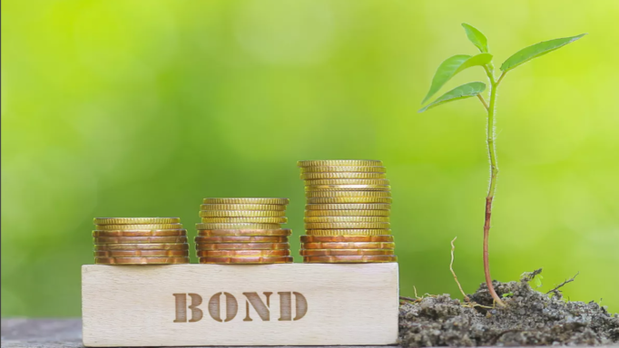 China's Green Bond Issuance Doubles in the First Half of The Year