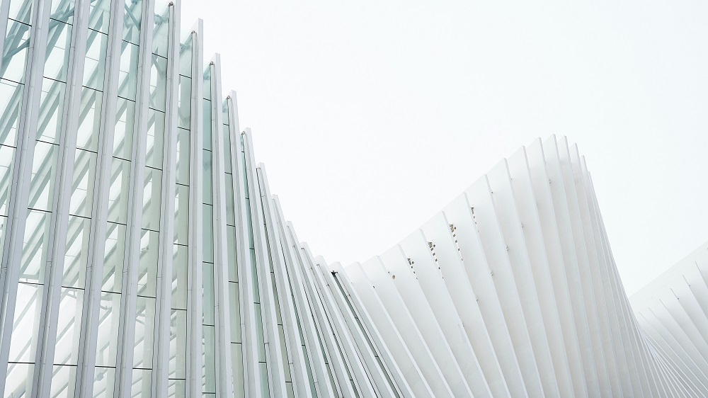 INSIGHTS | How Companies May Avoid Unintentional "Greenwashing"