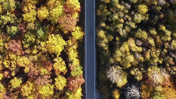 Nations Agree on Setting Loss and Damage Fund for Vulnerable Countries at COP27