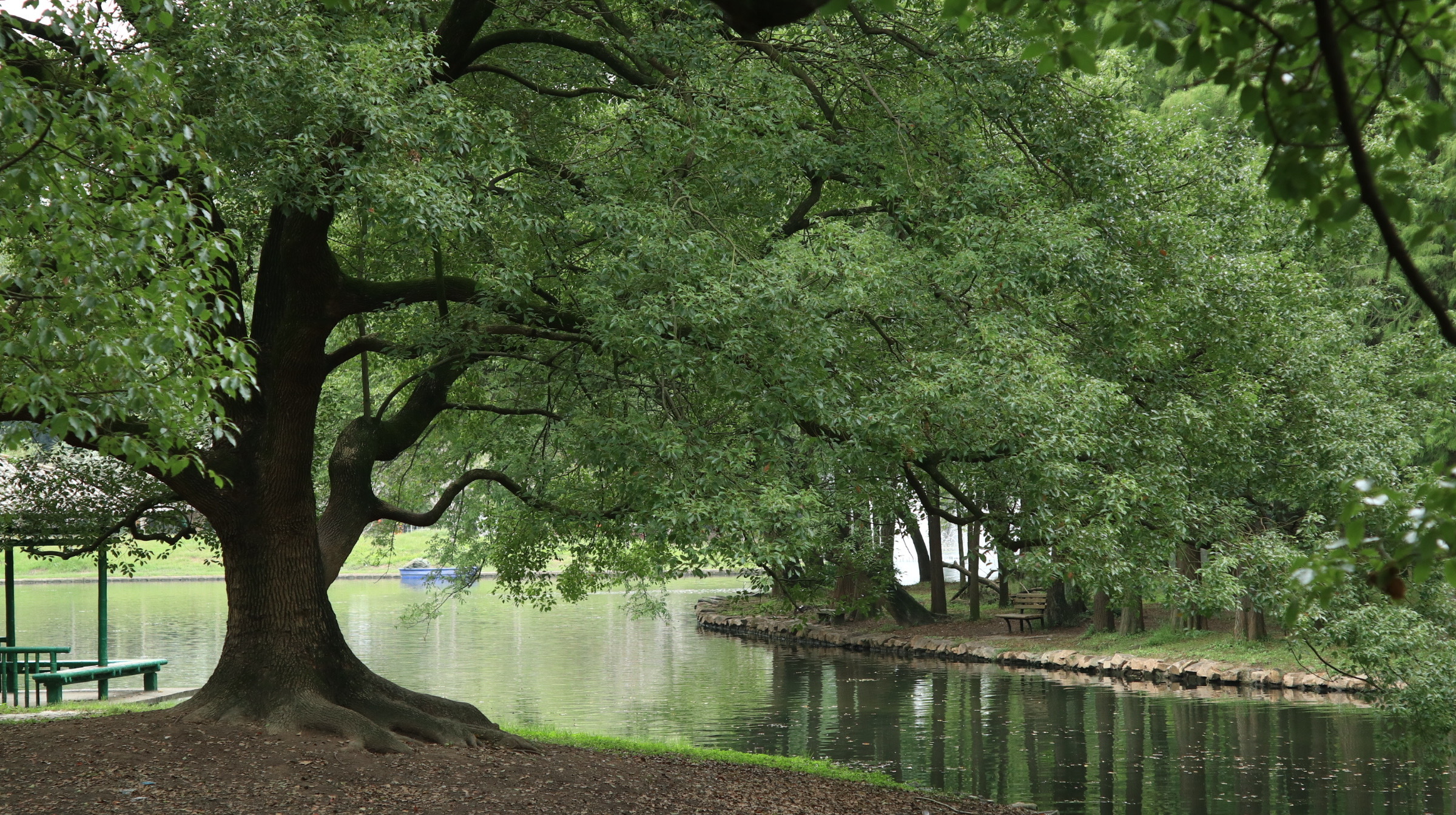 INSIGHTS | Get Ready for EU’s Corporate Sustainability Reporting Directive (CSRD)