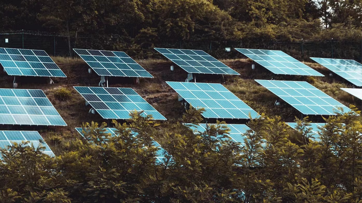 Australia Mulls Mandatory Climate Disclosure Rules for Large Entities