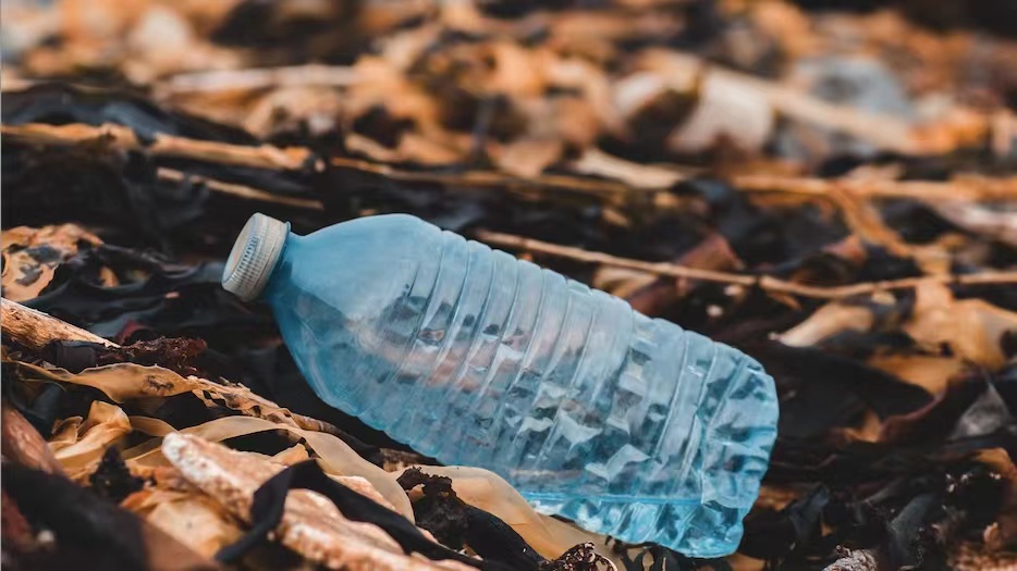 EU to Publish Revised Packaging Waste Reduction Rule