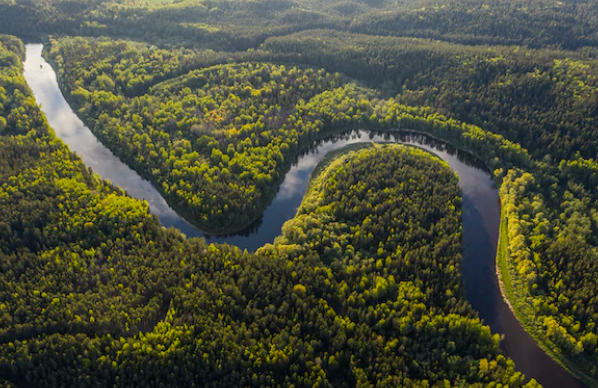 Germany Pledges EUR200m to Protect Amazon Rainforest