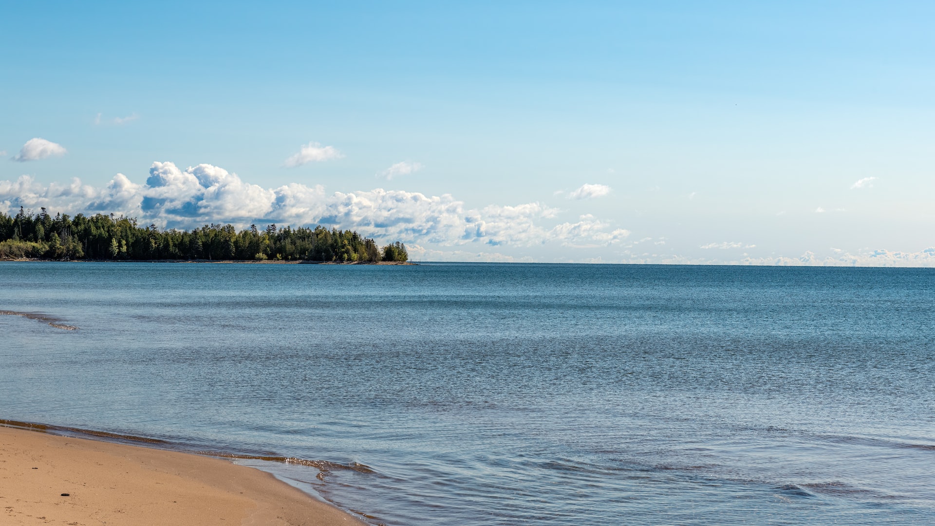 Uber to Deploy 25,000 Electric Vehicles in India to Promote Clean Transportation