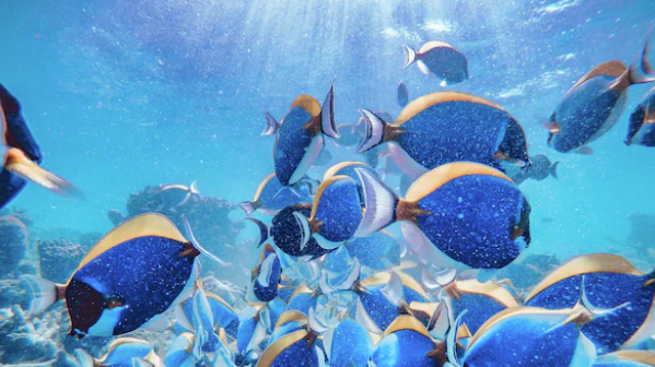 U.N. Treaty Agreed to Protect High Seas and Conserve Biodiversity