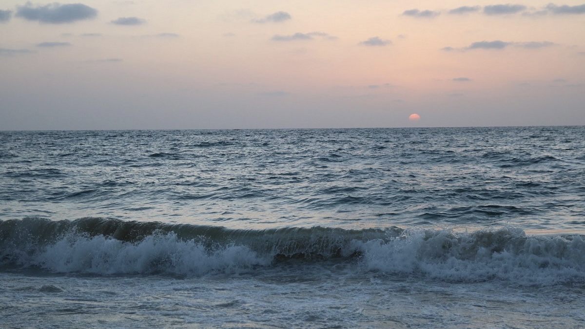 Microsoft Signs Its First Ocean-Based Carbon Removal Agreement with Running Tide