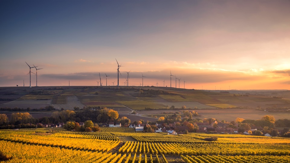 INSIGHTS | "The Race Is On": Europe’s Net-Zero Industry Act Proposal