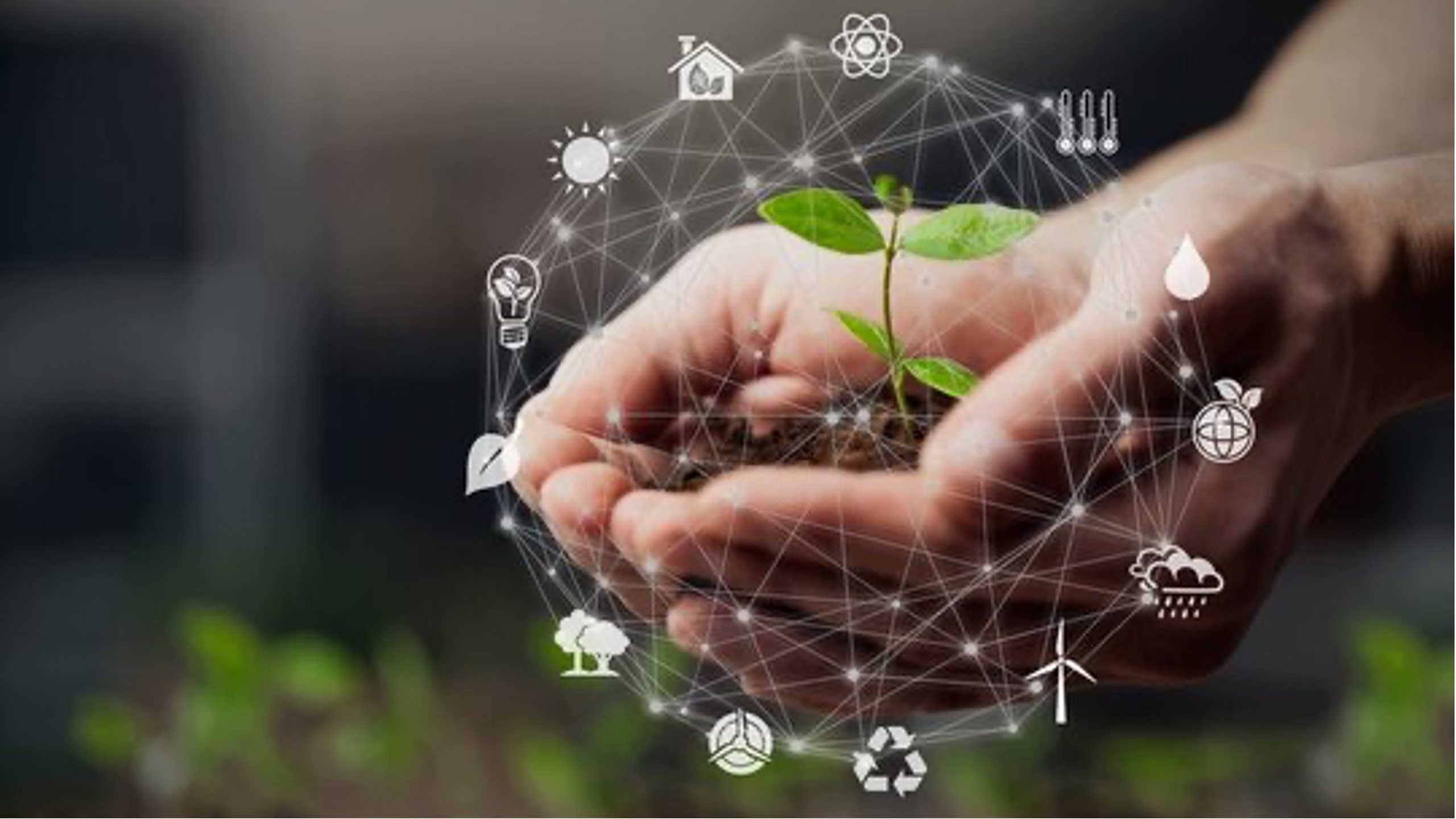 INSIGHTS | The Growing Importance of Sustainability Ratings and Their Impact on Business.