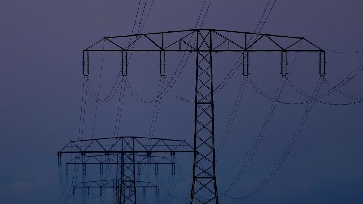 Germany's Scholz Advocates Ramping up Renewables, Rejecting Subsidy Plans