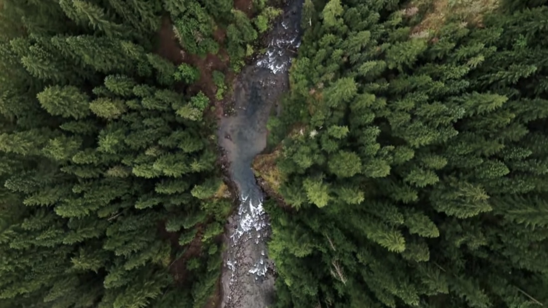 UK and France Publish Global Biodiversity Credits Roadmap