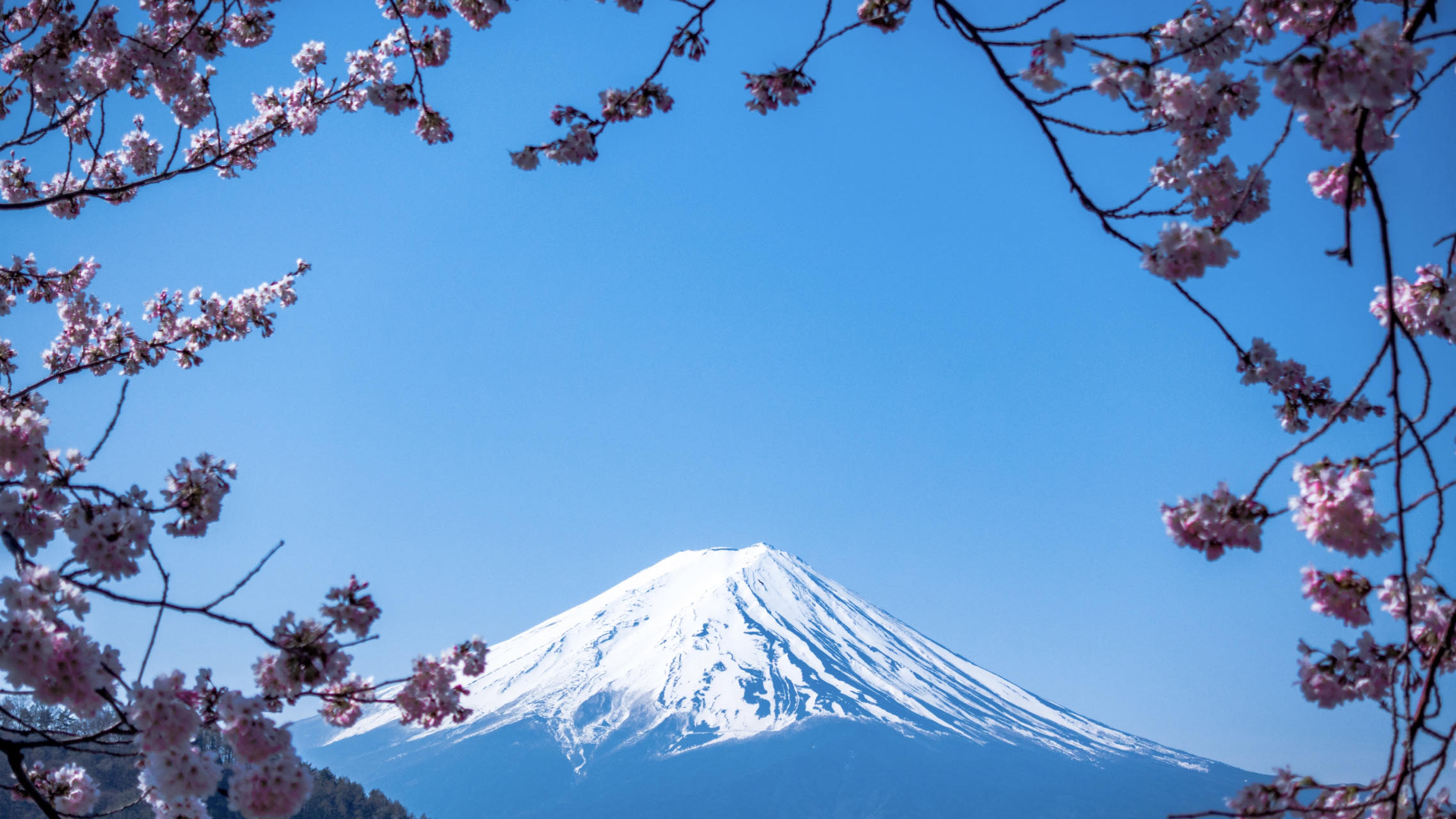 Japan to Mobilize USD100bn Public-Private Investment to Bolster Hydrogen Supply