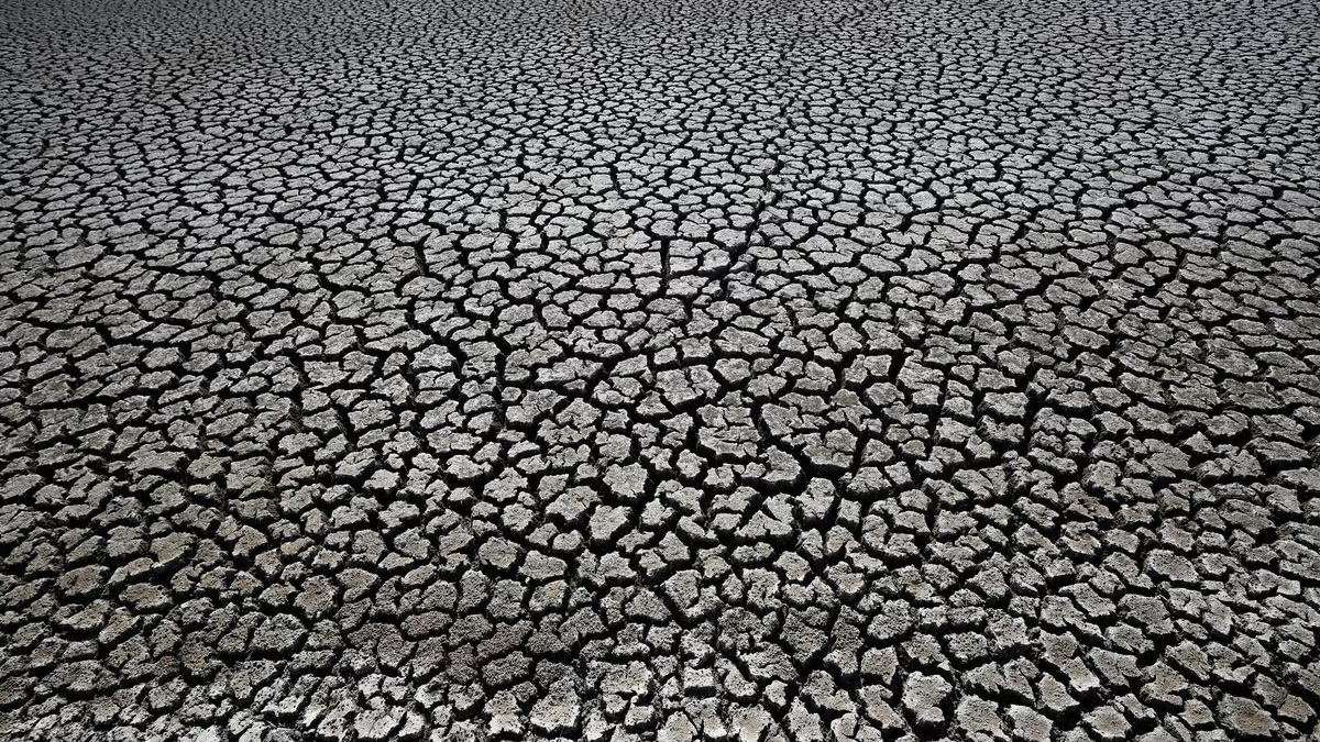 EU to Introduce Inaugural Law to Improve Soil Health