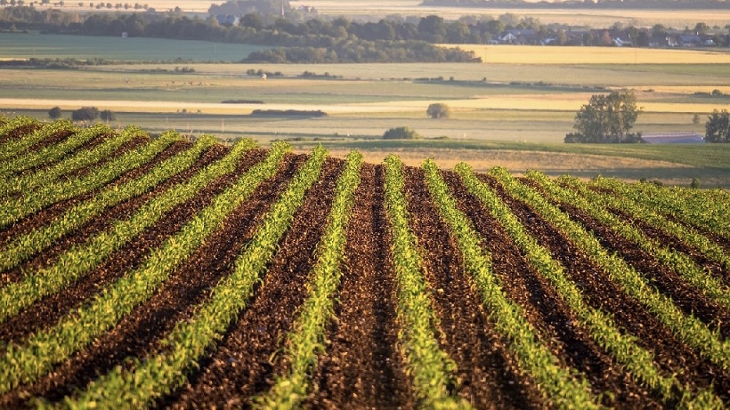 Walmart, Pepsi Team Up for Regenerative Agriculture Practices