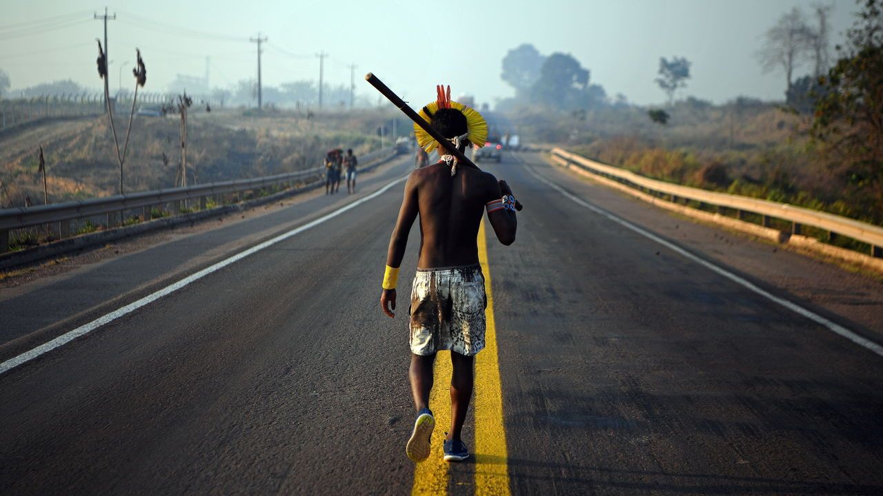 Brazil to Launch Green Transition Plan Worth Hundreds of Billions of Dollars