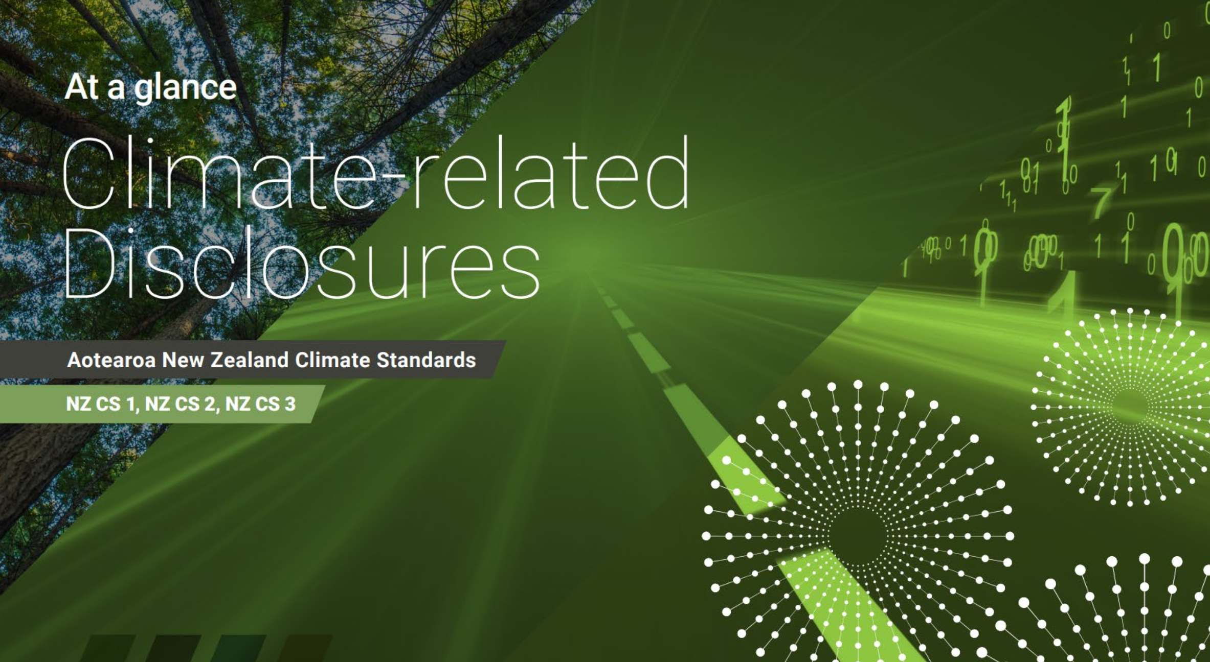 INSIGHTS | An Overview of New Zealand’s Latest Climate Disclosures and their Impact