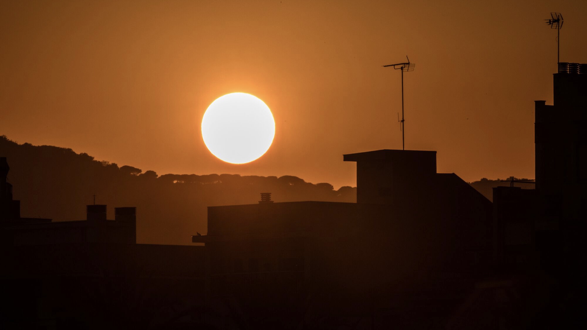 EU Proposes Using Satellites to Detect Forest Destruction