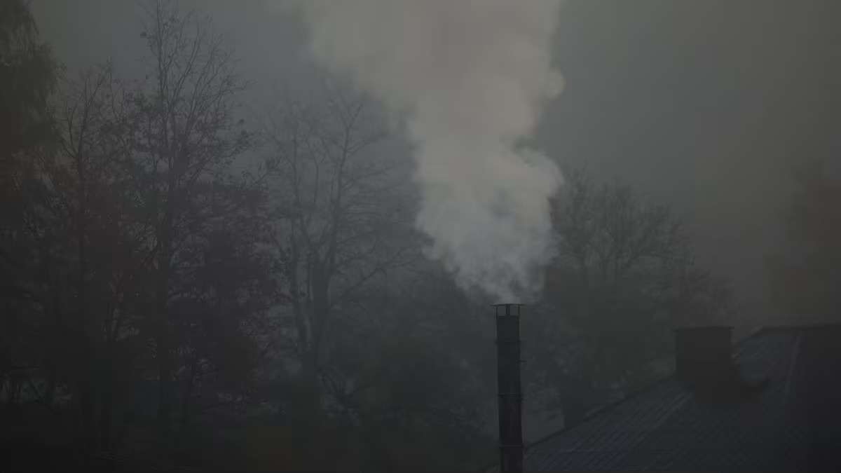 US Regulator Introduces Guidance to Regulate Voluntary Carbon Credit Market