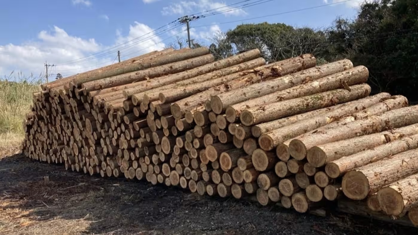 Sumitomo, University of Tokyo Launch Research on Mass Production of Biodiesel