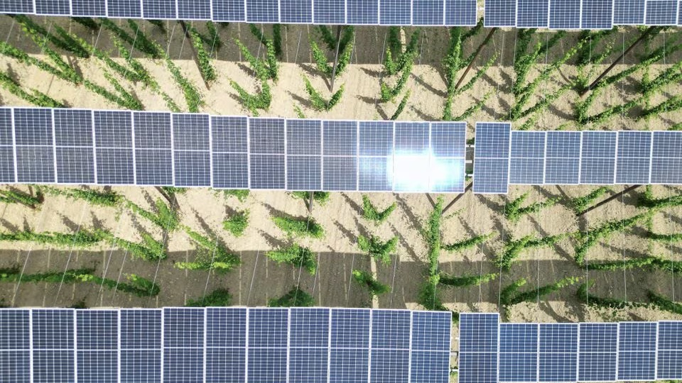 Renewables' Share in Germany’s Energy Mix reaches 55%, with Emissions Declining to Lowest in 70 Years