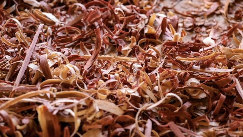 Japan's Rengo to Produce Sustainable Aviation Fuel Using Construction Waste